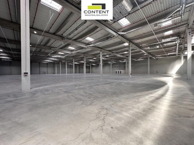 Pronájem výrobních prostor, Údlice, Droužkovická, 10000 m2