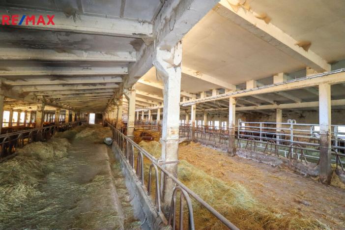 Prodej zemědělského objektu, Jistebnice, Tisová, 2319 m2
