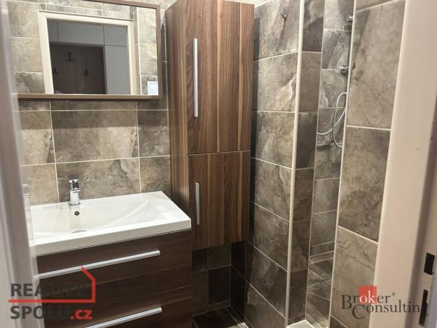 Pronájem bytu 2+1, Plzeň - Východní Předměstí, Rychtaříkova, 54 m2