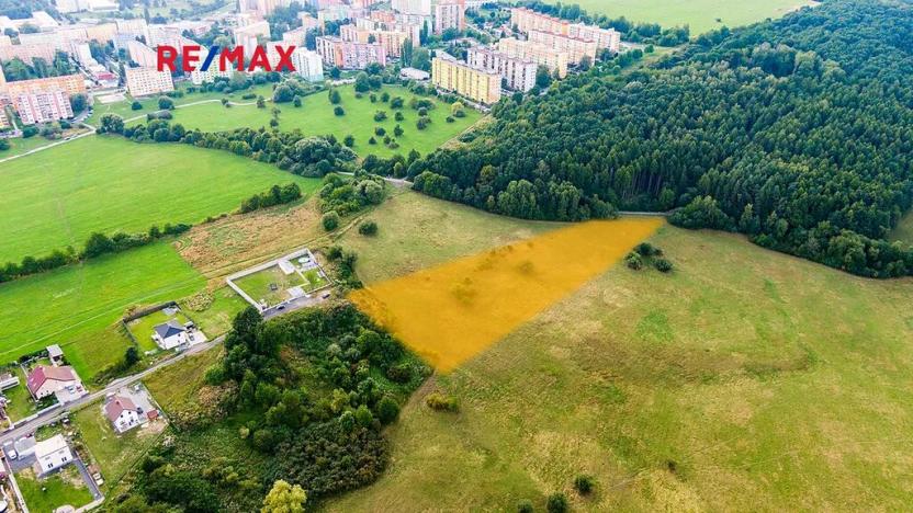 Prodej louky, Česká Lípa, 9571 m2
