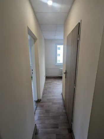 Pronájem bytu 2+1, Bílina, M. Švabinského, 55 m2