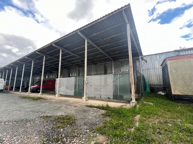 Pronájem - jiné, Hradec Králové, Přemyslova, 70 m2