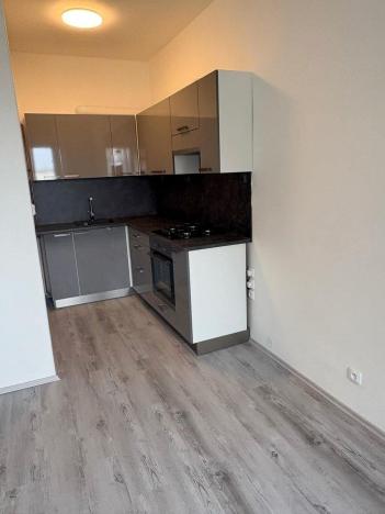 Pronájem bytu 1+1, Praha - Nusle, Kloboučnická, 50 m2