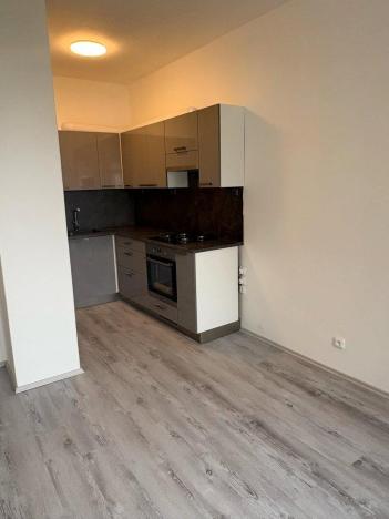 Pronájem bytu 1+1, Praha - Nusle, Kloboučnická, 50 m2