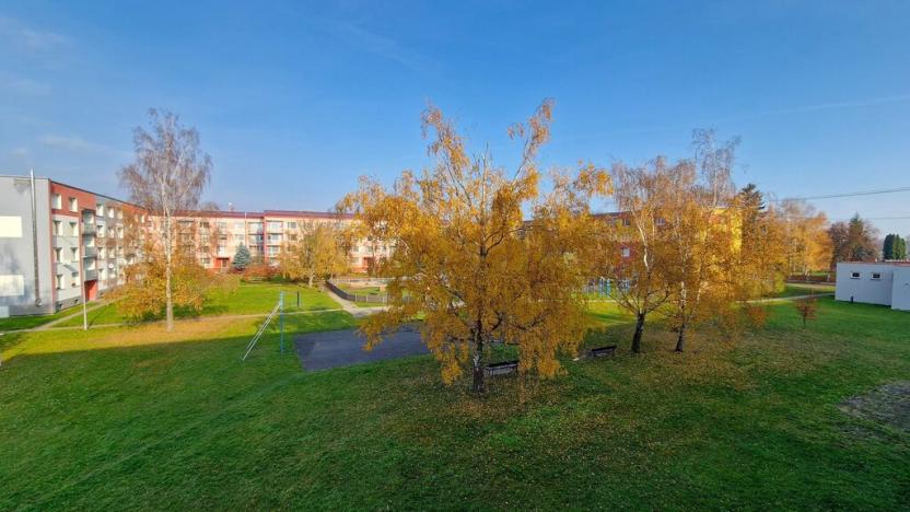Pronájem bytu 1+1, Bohušovice nad Ohří, Zahradní, 35 m2