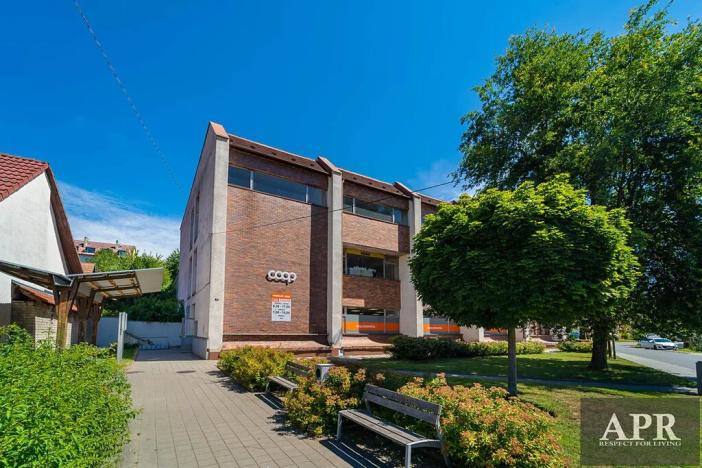 Pronájem obchodního prostoru, Starý Hrozenkov, 520 m2