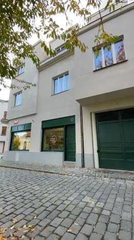 Prodej bytu 5+kk, Praha - Střešovice, Nad hradním vodojemem, 193 m2