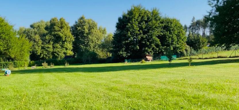 Prodej rodinného domu, Rabí, 320 m2