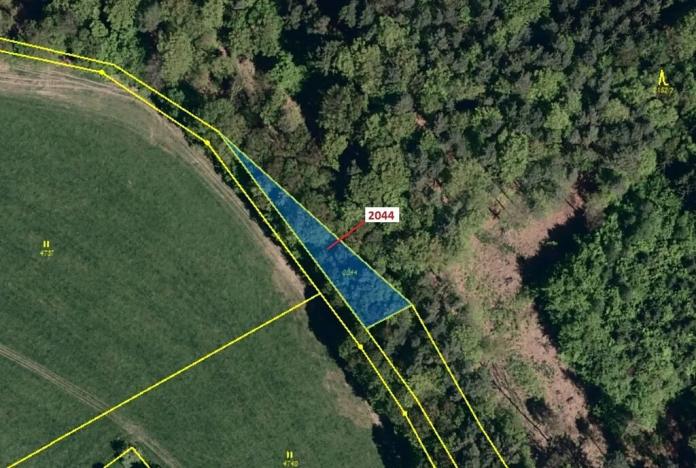 Dražba lesa, Slopné, 471 m2