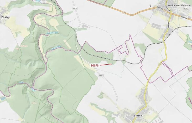 Dražba lesa, Březník, 234 m2