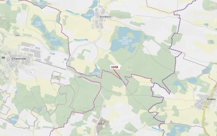 Dražba lesa, Hradiště, 1028 m2