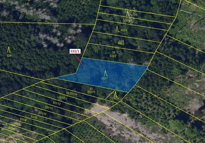 Dražba lesa, Havlíčkův Brod, 870 m2