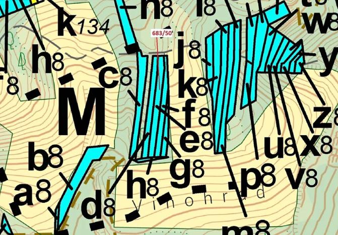 Dražba lesa, Ivančice, 477 m2