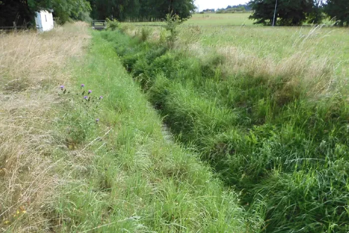 Dražba louky, Krouna, 6211 m2