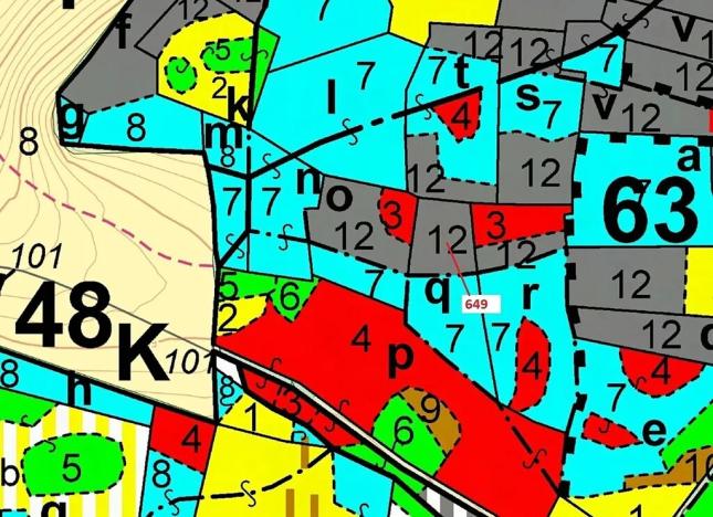 Dražba lesa, Kuřimany, 1722 m2
