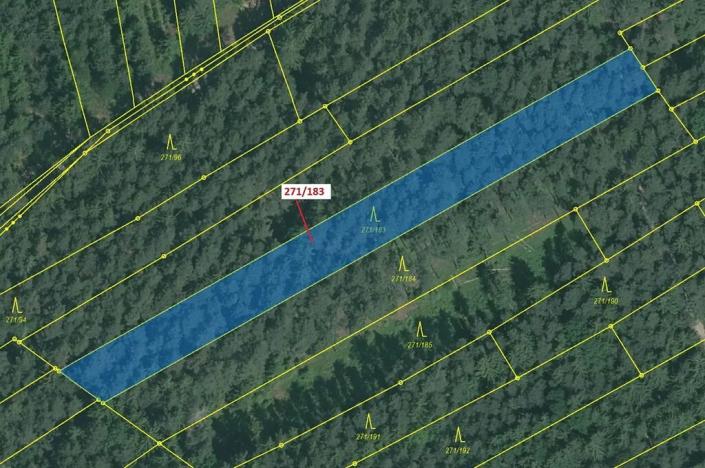 Dražba lesa, Milavče, 2398 m2