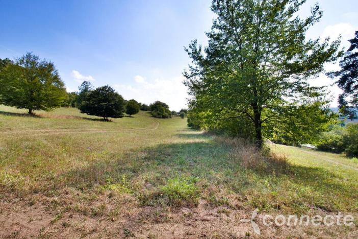 Prodej louky, Samopše, 14836 m2