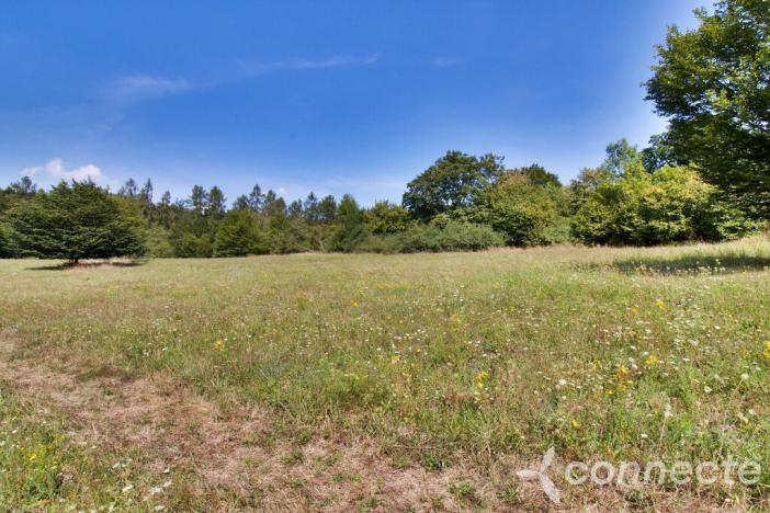 Prodej louky, Samopše, 14836 m2