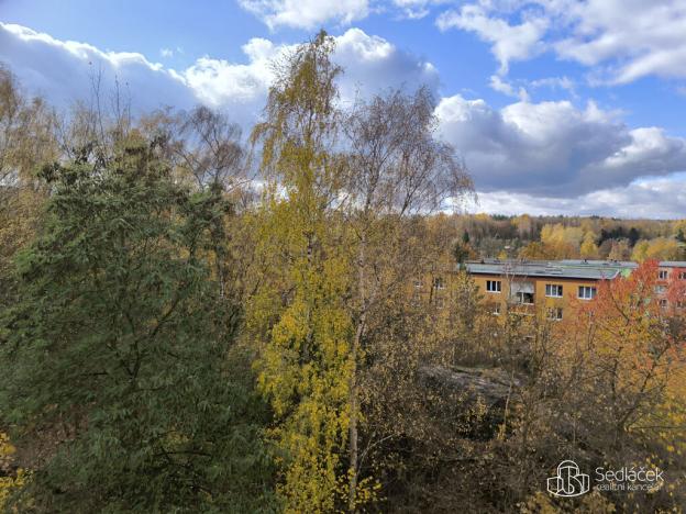 Pronájem bytu 1+1, Sokolov, Jelínkova, 35 m2