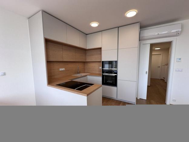 Pronájem bytu 4+kk, Brno - Trnitá, Placzkova, 158 m2