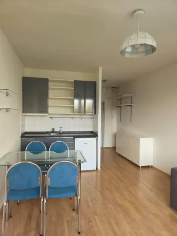 Pronájem bytu 1+kk, Praha - Záběhlice, Jabloňová, 25 m2