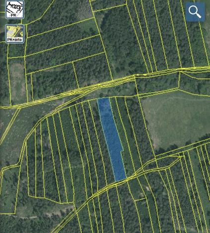 Prodej lesa, Blížejov - Lštění, 4152 m2