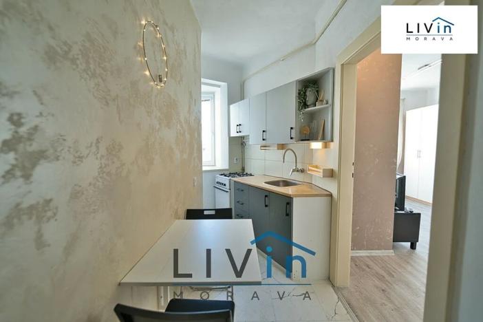 Pronájem bytu 1+1, Olomouc, Starodružiníků, 28 m2