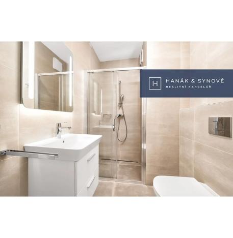 Pronájem bytu 1+kk, Brno, Chaloupkova, 30 m2