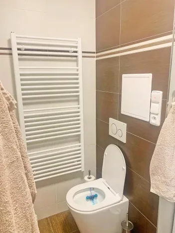 Pronájem bytu 2+1, Valašské Meziříčí, Křižná, 56 m2