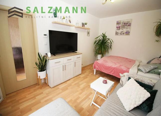 Pronájem bytu 1+1, Plzeň, U Dráhy, 39 m2