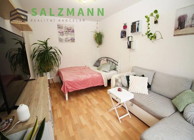 Pronájem bytu 1+1, Plzeň, U Dráhy, 39 m2
