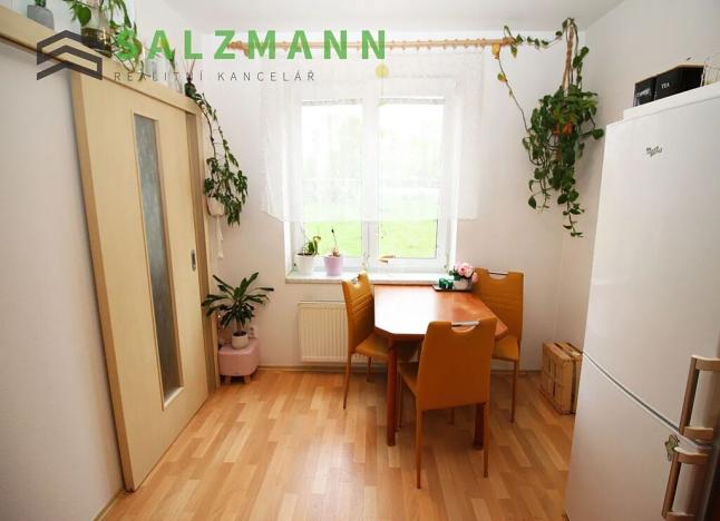 Pronájem bytu 1+1, Plzeň, U Dráhy, 39 m2