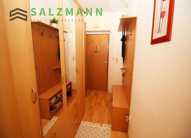 Pronájem bytu 1+1, Plzeň, U Dráhy, 39 m2