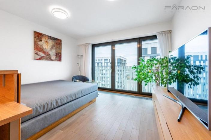 Pronájem bytu 1+kk, Praha - Žižkov, Olšanská, 35 m2