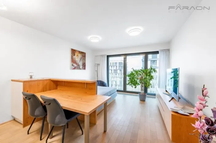 Pronájem bytu 1+kk, Praha - Žižkov, Olšanská, 35 m2