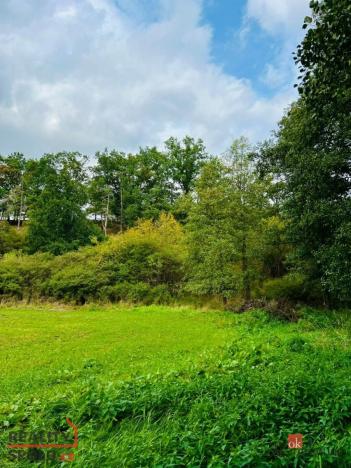 Prodej louky, Rybníky, 1277 m2