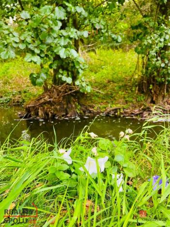 Prodej louky, Rybníky, 1277 m2