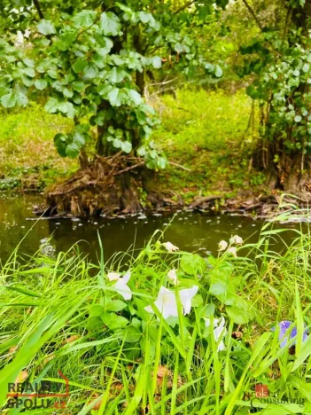 Prodej louky, Rybníky, 1277 m2