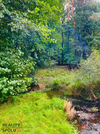 Prodej louky, Rybníky, 1277 m2