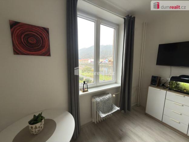 Pronájem bytu 1+kk, Ústí nad Labem - Střekov, Střekovské nábřeží, 27 m2