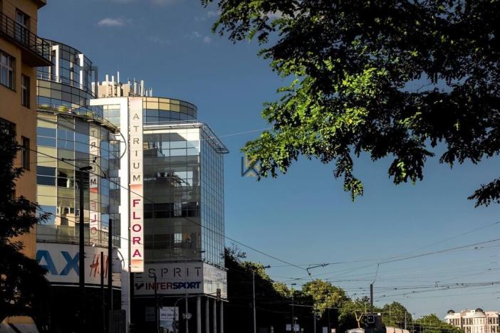 Pronájem kanceláře, Praha - Žižkov, Vinohradská, 387 m2