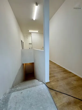 Pronájem ubytování, Brno, Štefánikova, 300 m2