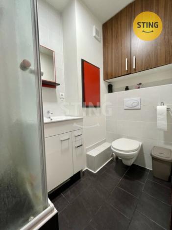 Pronájem bytu 1+1, Hodonín, Družstevní čtvrť, 37 m2