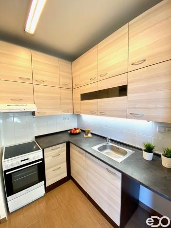 Pronájem bytu 1+kk, Benátky nad Jizerou, Pražská, 30 m2