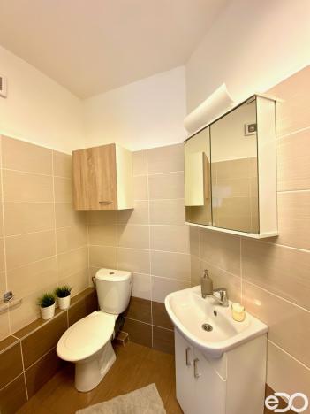 Pronájem bytu 1+kk, Benátky nad Jizerou, Pražská, 30 m2