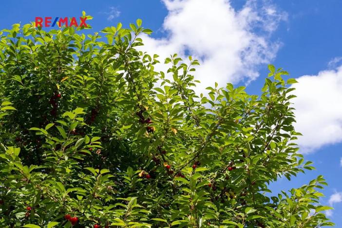 Prodej pozemku pro bydlení, Semily, 1962 m2