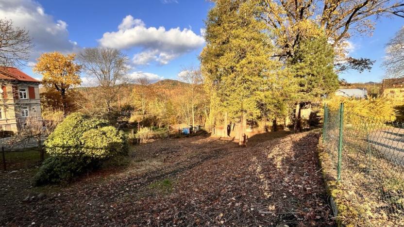 Prodej pozemku pro bydlení, Česká Kamenice, Lipová, 1696 m2