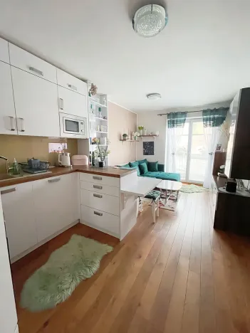 Prodej bytu 2+kk, Brno, Jánošíkova, 49 m2