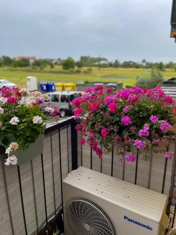 Prodej bytu 2+kk, Brno, Jánošíkova, 49 m2