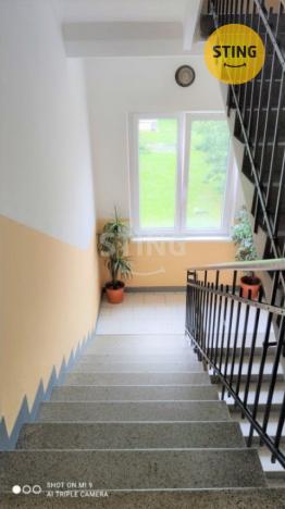 Pronájem bytu 1+1, Ostrava, Jirská, 56 m2